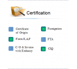 Certification for the export documents