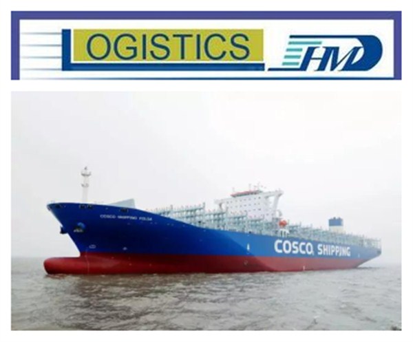 Sea shipping freight forwarder door to door delivery from China to Caucedo Dominica