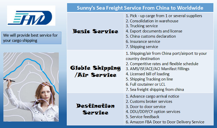 Shipping to Rotterdam in Sea Freight Full Container Loading