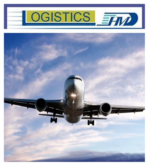 Air cargo shipping freight forwarder door to door delivery service from china to Egypt