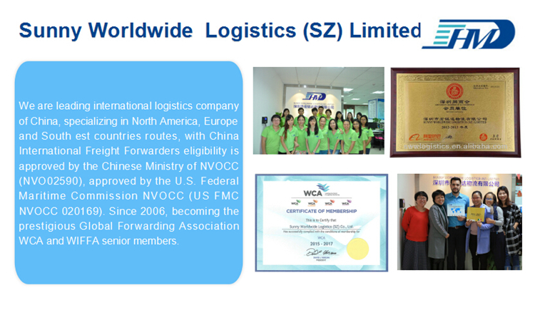 FCL sea freight service 20ft and 40ft from Shenzhen to Australian from Shenzhen to Singapore