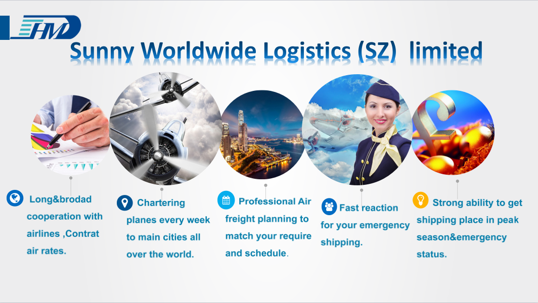 Free sample logistics china shipping agent to mauritius