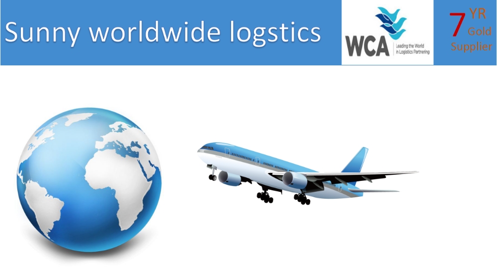 Experienced manufacturer air shipping rates from china to cameroon