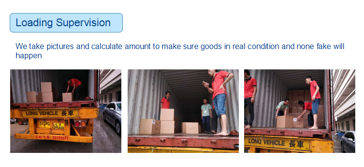 Sea Container Prices CIF Hamburg Germany or Gdansk Forwarding Service