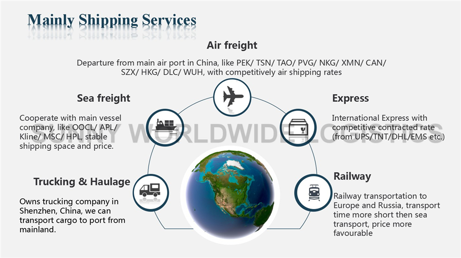 Shipping Container China to Brazil Cargo Ship Price