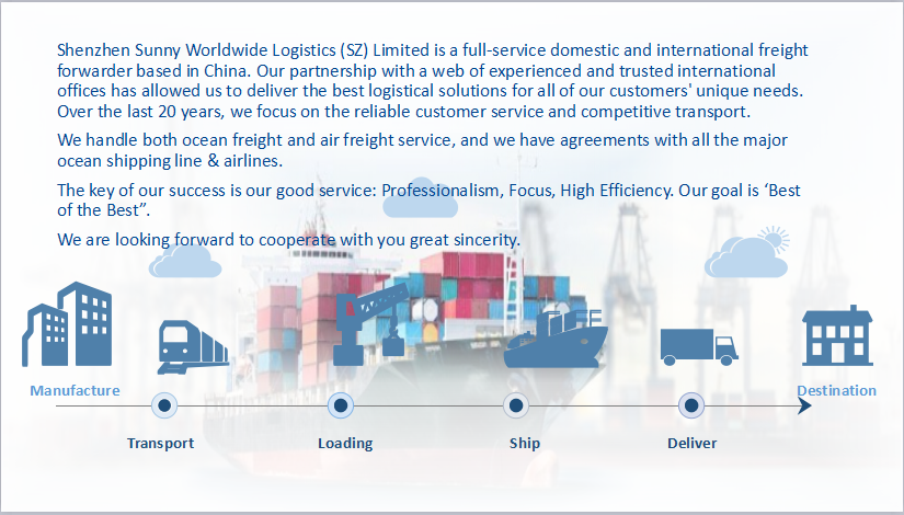 Logistics Forwarder International Agent Door To Door Service Shipping Cargo From China To Philippines 