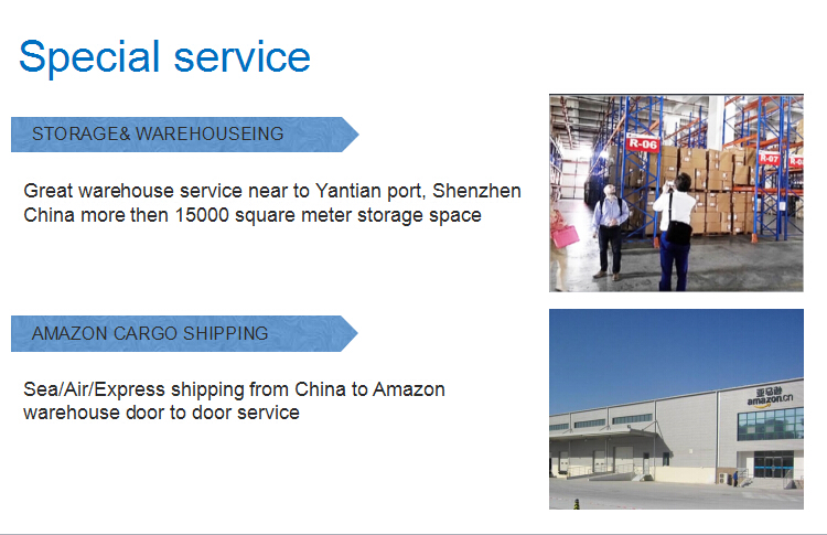 From China Shipping to Damietta FCL Sea freight Forwarder