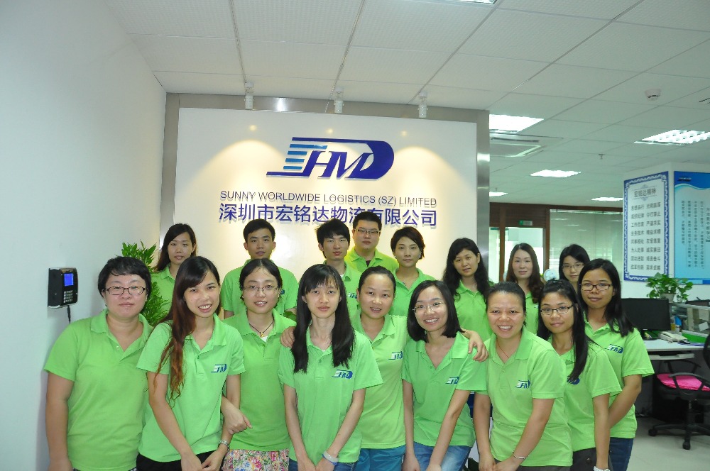 China professional freight forwarder