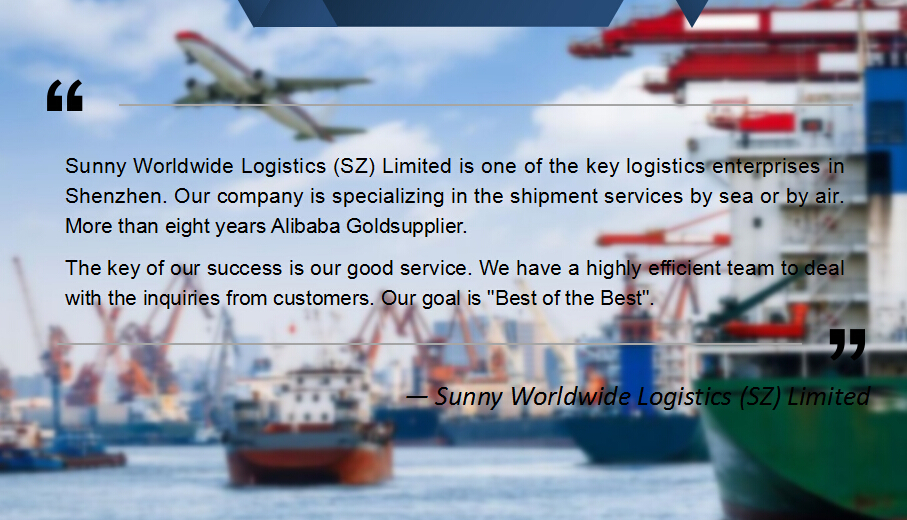 International sea freight door to door service Shenzhen to Singapore