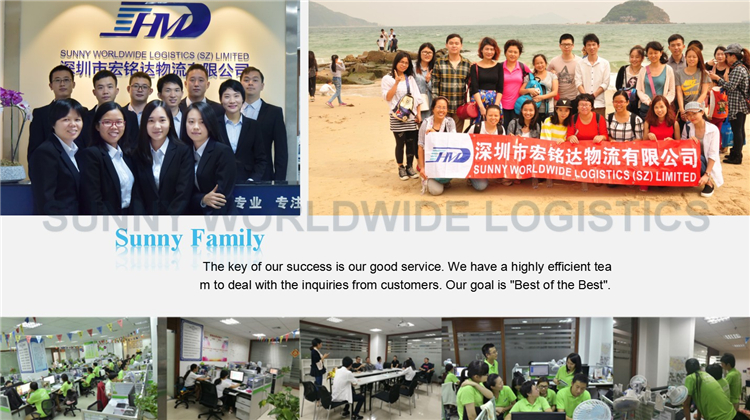 Break Bulk Cargo Services Air Freight from China to Sweden Inspection Agency in China