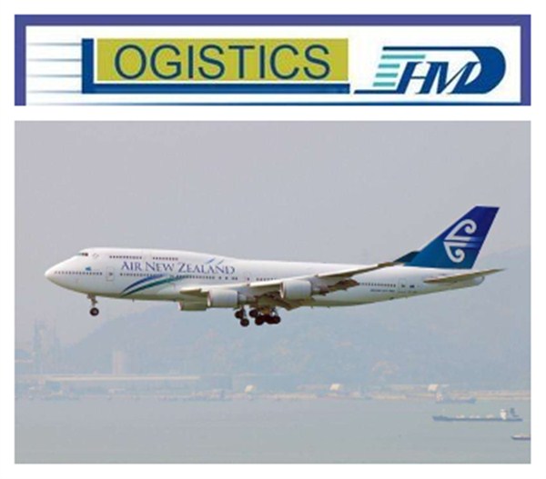 Air cargo shipping freight forwarder door to door delivery service from china to Egypt