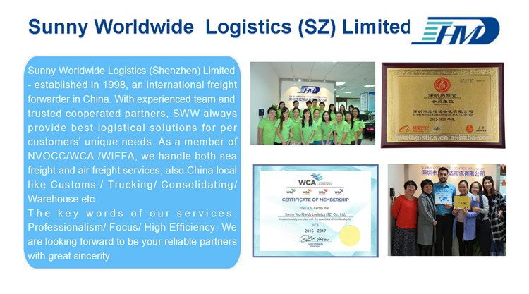 Shipping Company Door to Door Delivery Service Shipping from China to Philippines 