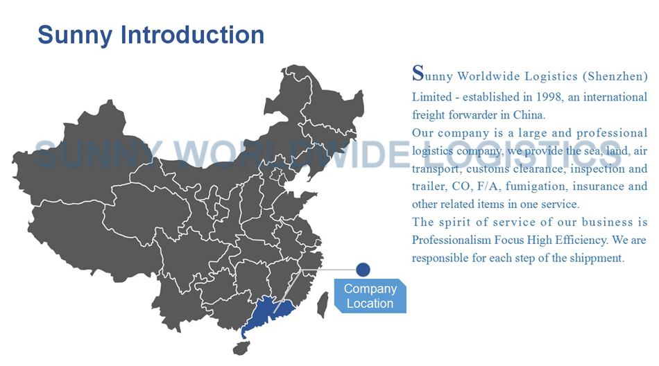 Sea Freight China Forwarding Agent Shipping To Italy PALERMO