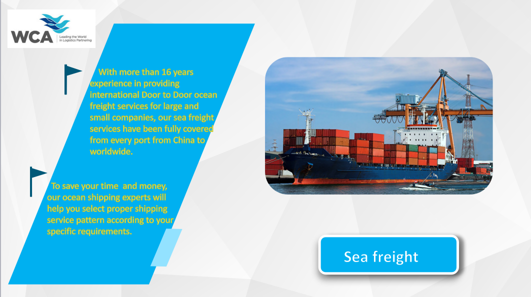 FCL container sea shipping service from China to Madrid Spain