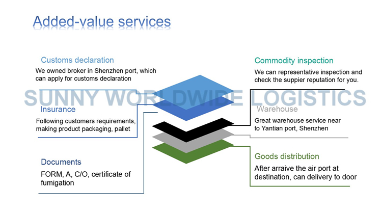 Professional sea freight from China to USA Miami door to door services DDP DDU 