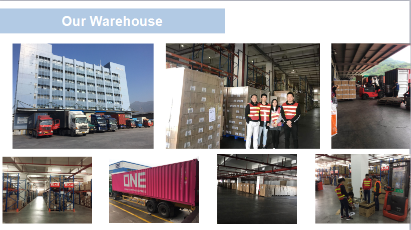 DDU DDP Sea shipping freight service from China to Greece