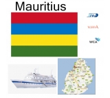 Tanie usługi Ocean Sea Shipping z Chin do Mauritiusu