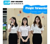 Desde Shenzhen, China a Manila, Filipinas LCL Shipping FCL Shipping Agent 20GP 40HQ