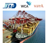 Transportation from Shanghai China to Le Havre France professional sea shipping agent DAP DDP